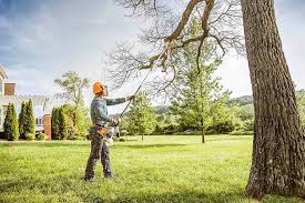 Best Lawn Edging  in Kearny, AZ