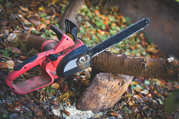 Best Lawn Maintenance Plans  in Kearny, AZ